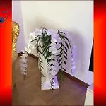 Magellano *